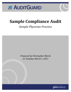 Sample Compliance Audit Sample Physician Practice Prepared by Christopher Marsh