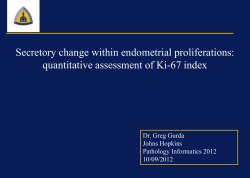 Secretory change within endometrial proliferations: quantitative assessment of Ki-67 index