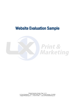 Website Evaluation Sample