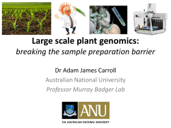Large scale plant genomics: breaking the sample preparation barrier