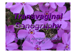 Transvaginal Sonography 아주대학교 의과대학 영상의학과 이 은 주