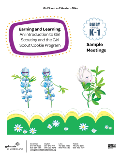 Sample Meetings  Earning and Learning: