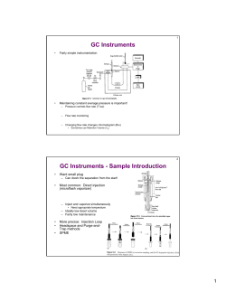 GC Instruments • Fairly simple instrumentation Maintaining constant average pressure is important!