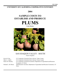 PLUMS SAMPLE COSTS TO ESTABLISH AND PRODUCE 2004