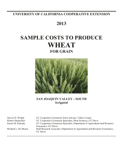 WHEAT SAMPLE COSTS TO PRODUCE 2013 FOR GRAIN