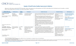 Sample of Small Practice Quality Improvement Initiatives