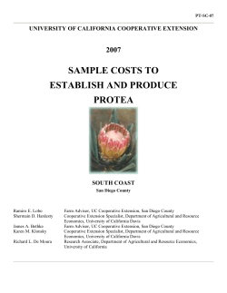 SAMPLE COSTS TO ESTABLISH AND PRODUCE PROTEA