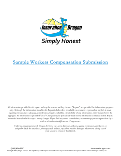 Sample Workers Compensation Submission