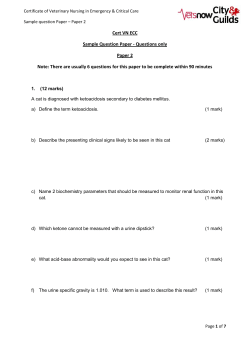 Cert VN ECC Sample Question Paper - Questions only Paper 2