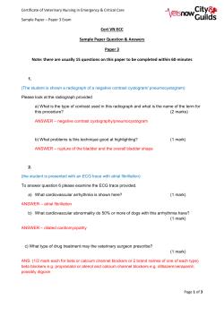 Cert VN ECC  Sample Paper Question &amp; Answers  Paper 3  Note: there are usually 15 questions on this paper to be completed within 60 minutes 