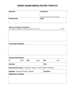 SAMPLE: EQUINE MEDICAL RECORD TEMPLATE