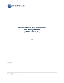 Re-identification Risk Assessment and Anonymization (SAMPLE REPORT)