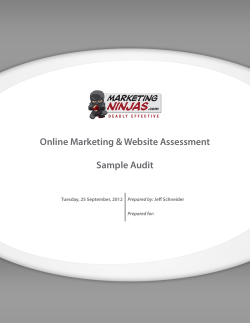 Online Marketing &amp; Website Assessment Sample Audit Prepared by: Prepared for: