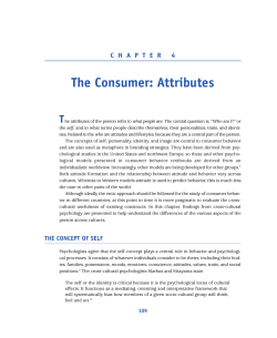 The Consumer: Attributes T C H A P T E R 4