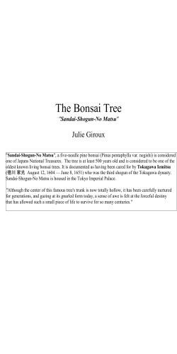 The Bonsai Tree Julie Giroux Sandai-Shogun-No Matsu