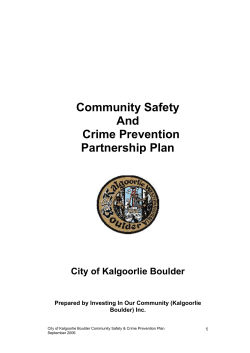 Community Safety And Crime Prevention