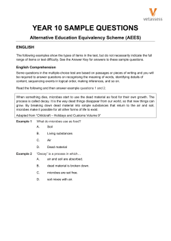 YEAR 10 SAMPLE QUESTIONS Alternative Education Equivalency Scheme (AEES) ENGLISH