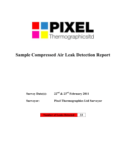 Sample Compressed Air Leak Detection Report  Survey Date(s): 22