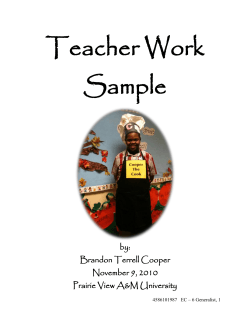 Teacher Work Sample by: