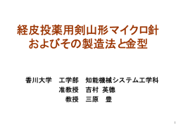 経皮投薬用剣山形マイクロ針 およびその製造法と金型