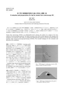 III Evaluation and preparation of a tip for atomic force microscopy... 装置利用支援 H21-JA024