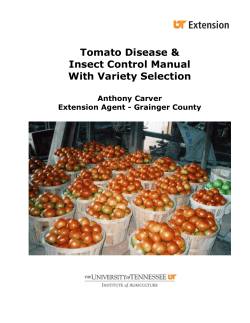 Tomato Disease &amp; Insect Control Manual With Variety Selection