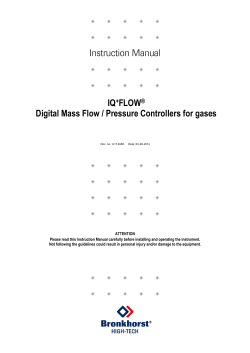 Instruction Manual IQ FLOW Digital Mass Flow / Pressure Controllers for gases