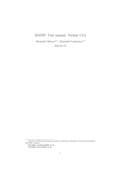 MAGIC: User manual. Version 1.0.3 Alexander Mirzoev , Alexander Lyubartsev 2014-01-13