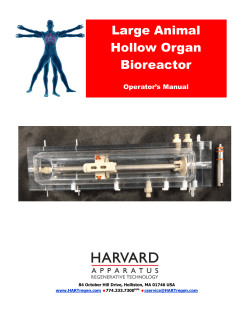 Large Animal Hollow Organ Bioreactor