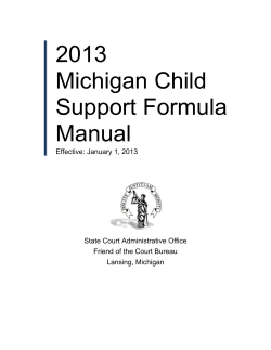 2013 Michigan Child Support Formula