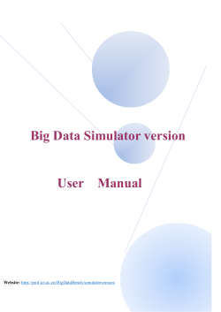Big Data Simulator version User Manual Website: