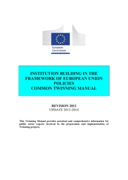 INSTITUTION BUILDING IN THE FRAMEWORK OF EUROPEAN UNION POLICIES