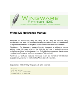 Wing IDE Reference Manual