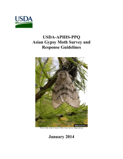 USDA-APHIS-PPQ Asian Gypsy Moth Survey and Response Guidelines