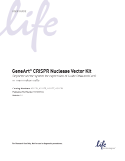 GeneArt CRISPR Nuclease Vector Kit in mammalian cells