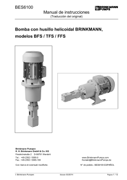 BES6100 Manual de instrucciones  Bomba con husillo helicoidal BRINKMANN,