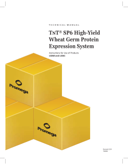 TNT SP6 High-Yield Wheat Germ Protein Expression System