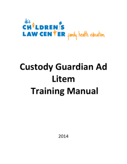 Custody Guardian Ad Litem Training Manual
