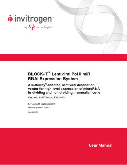 BLOCK-iT Lentiviral Pol II miR RNAi Expression System