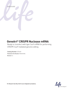 GeneArt CRISPR Nuclease mRNA Ready-to-transfect wild-type Cas9 mRNA for performing