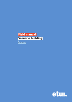 Field manual Scenario building – Sascha Meinert