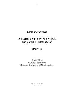 BIOLOGY 2060  A LABORATORY MANUAL FOR CELL BIOLOGY