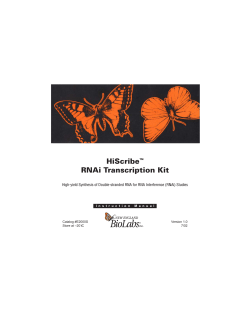 BioLabs HiScribe RNAi Transcription Kit ™