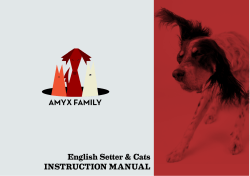 AMYX FAMILY English Setter &amp; Cats INSTRUCTION MANUAL
