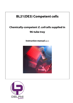 BL21(DE3) Competent cells  E. coli Chemically-competent