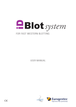 Blot system FOR FAST WESTERN BLOTTING