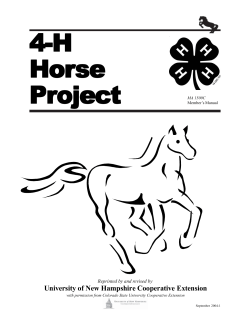4-H Hor se Horse