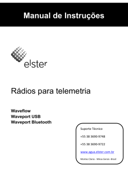 Manual de Instruções Rádios para telemetria Waveflow