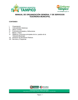 MANUAL DE ORGANIZACIÓN GENERAL Y DE SERVICIOS TESORERIA MUNICIPAL