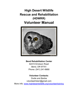 Volunteer Manual  High Desert Wildlife Rescue and Rehabilitation